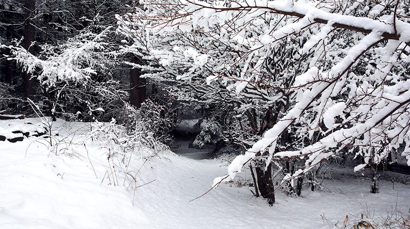 冬のロケーションでコスプレ撮影